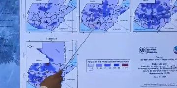 MAGA monitorea lluvias que pueden poner en riesgo cultivos para brindar atención