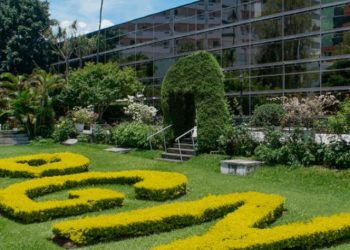 Cómo presentar una denuncia en la PGN sobre abusos contra menores de edad