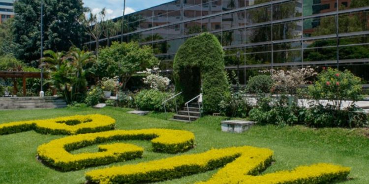 Cómo presentar una denuncia en la PGN sobre abusos contra menores de edad