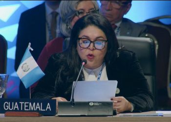 Viceministra de Relaciones Exteriores Mónica Renata Bolaños Pérez, en asamblea de la OEA. / Foto: Minex.