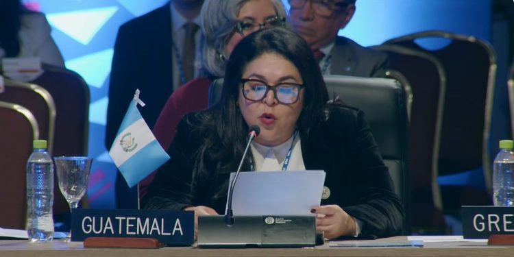Viceministra de Relaciones Exteriores Mónica Renata Bolaños Pérez, en asamblea de la OEA. / Foto: Minex.
