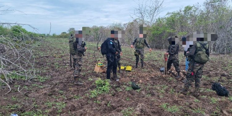 Destruyen otra pista clandestina en Petén