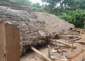 Conred registra nuevo incidente en Panzós, Alta Verapaz; con este suman mil 396