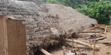 Conred registra nuevo incidente en Panzós, Alta Verapaz; con este suman mil 396