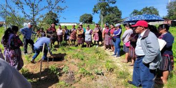 Un grupo de pobladores de la comunidad Chutumal I fueron capacitados sobre el manejo sostenible de los recursos naturales, en Chichicastenango, Quiché. / Foto: MAGA.