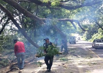 La Conred reporta mil 426 incidentes en lo que va de la temporada de lluvias.