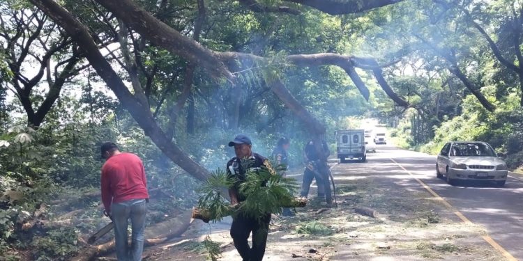 La Conred reporta mil 426 incidentes en lo que va de la temporada de lluvias.