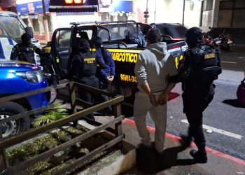 Un total de 441 personas capturadas, 66 armas incautadas y 40 automotores recuperados durante la semana