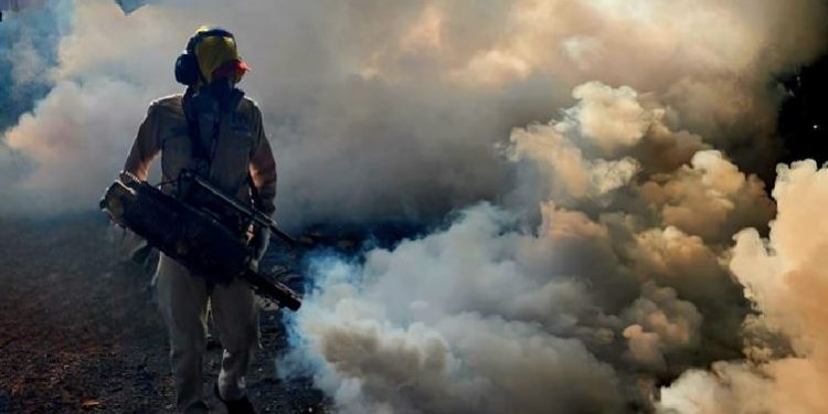 Fumigaciones contra el dengue avanzan en todo el país