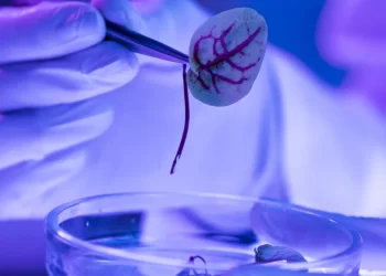 Consejo Nacional de Ciencia y Tecnología realiza convocatoria para brindar apoyo financiero a proyectos enmarcados en el Plan Nacional de Desarrollo Científico y Tecnológico. / Foto: Concyt.