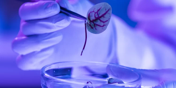 Consejo Nacional de Ciencia y Tecnología realiza convocatoria para brindar apoyo financiero a proyectos enmarcados en el Plan Nacional de Desarrollo Científico y Tecnológico. / Foto: Concyt.