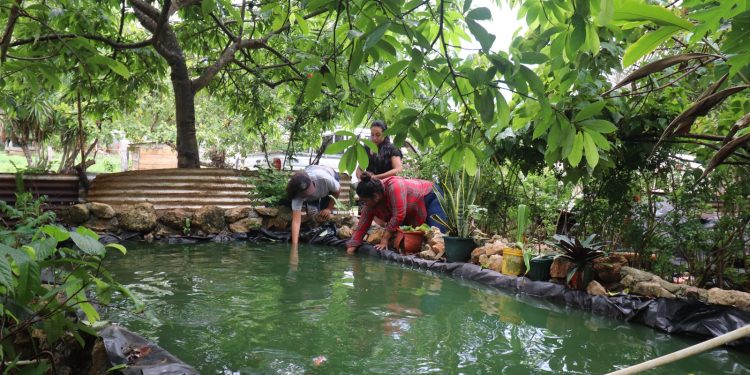 Emprendimiento de acuicultura crece exponencialmente