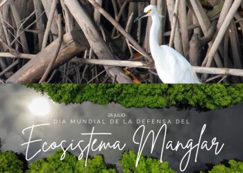 Hoy se conmemora el Día Internacional de la Conservación de Manglares