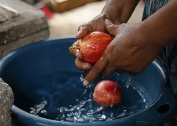 Lave sus alimentos y prevenga la fiebre tifoidea. /Foto: SESAN.