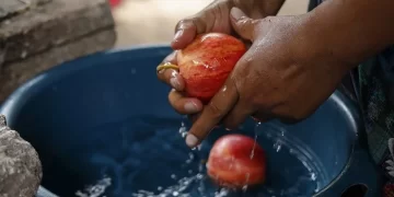 Lave sus alimentos y prevenga la fiebre tifoidea. /Foto: SESAN.