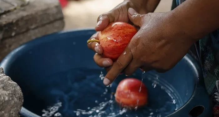 Lave sus alimentos y prevenga la fiebre tifoidea. /Foto: SESAN.