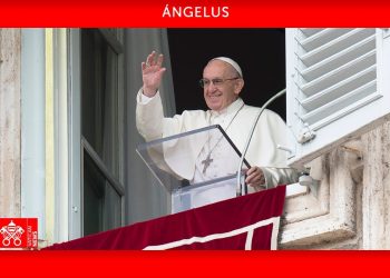 El papa pide una tregua mundial a la luz de los Juegos Olímpicos Paris 2024. / Foto: Vatican News.
