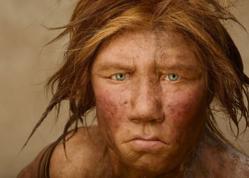 Estudio revela relación de neandertales con humanos modernos. / Foto: National Geographic.