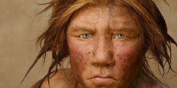 Estudio revela relación de neandertales con humanos modernos. / Foto: National Geographic.
