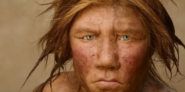 Estudio revela relación de neandertales con humanos modernos. / Foto: National Geographic.