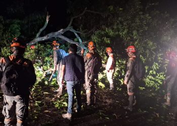 Equipos del Sistema Conred respondiendo a caída de un árbol en Mazatenango, Suchitepéquez. / Foto: Conred.