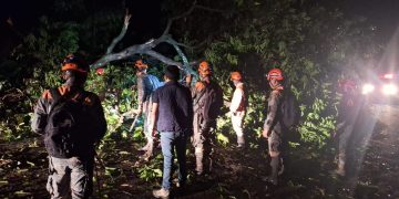 Equipos del Sistema Conred respondiendo a caída de un árbol en Mazatenango, Suchitepéquez. / Foto: Conred.