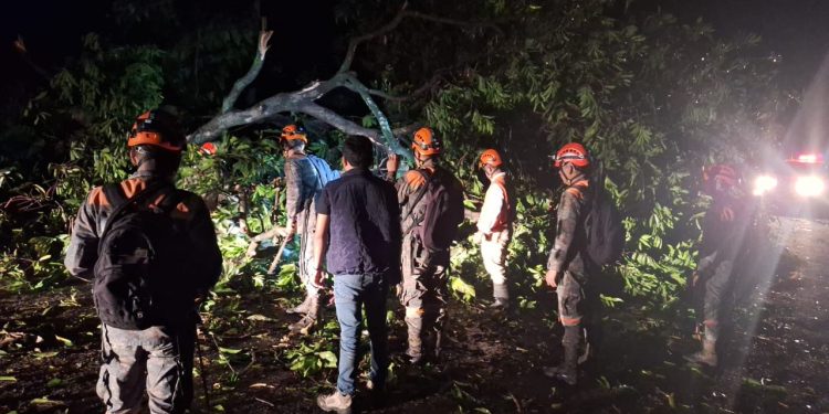 Equipos del Sistema Conred respondiendo a caída de un árbol en Mazatenango, Suchitepéquez. / Foto: Conred.