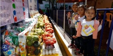 Más de mil 100 madres cuidadoras serán beneficiadas con un aumento de 600 quetzales a partir de julio, aseguran las autoridades de la SOSEP. / Foto: AGN.