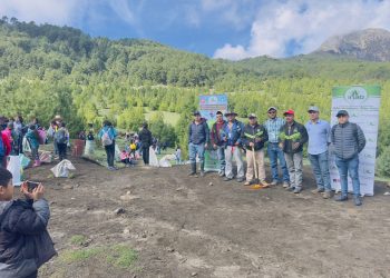 Jornada de reforestación en las faldas del volcán Tajumulco, San Marcos. / Foto: Gobernación Deptal.