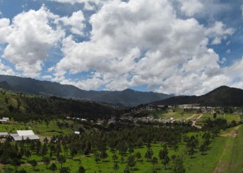 Ministerio de Ambiente invita a participar en las jornadas de reforestación