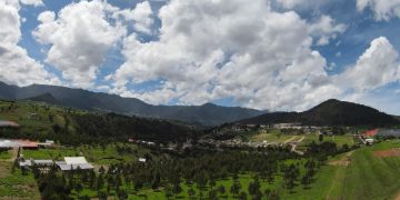 Ministerio de Ambiente invita a participar en las jornadas de reforestación