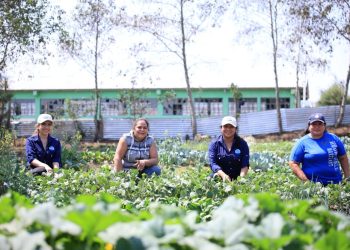 Durante foro, expertos destacan la importancia de las políticas públicas participativas para el empoderamiento de los agricultores.