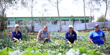 Durante foro, expertos destacan la importancia de las políticas públicas participativas para el empoderamiento de los agricultores.