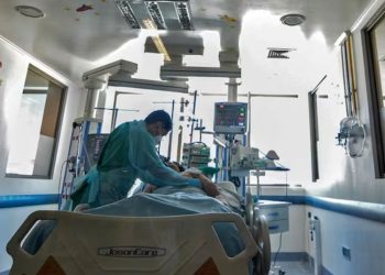 Muere paciente que recibió trasplante de riñón de cerdo. / Foto: ViveUSA.