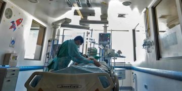 Muere paciente que recibió trasplante de riñón de cerdo. / Foto: ViveUSA.