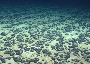 Nódulos polimetálicos están vinculados con generación de oxígeno en el mar. / Foto: Ámbito Financiero.