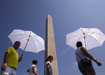 Olas de calor han afectado este año al mundo. / Foto: EFEverde.