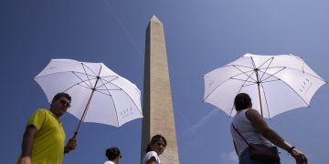 Olas de calor han afectado este año al mundo. / Foto: EFEverde.