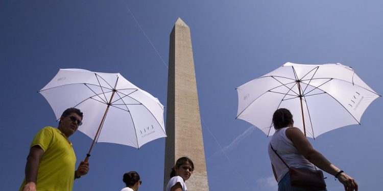 Olas de calor han afectado este año al mundo. / Foto: EFEverde.