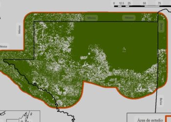 Ministra de Ambiente aclara procedencia de madera observada en ruta a Parque Nacional Tikal