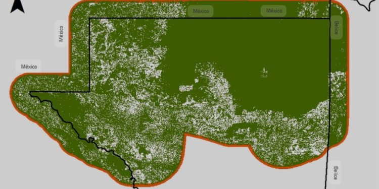 Ministra de Ambiente aclara procedencia de madera observada en ruta a Parque Nacional Tikal