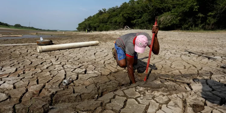Sequías severas amenazan región amazónica. / Foto: cnnenespano