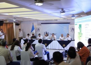 Representantes de la sociedad civil reunieron al presidente Bernardo Arévalo por el apoyo al Conap. / Foto: Gilbert García.