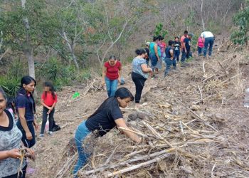 MAGA impulsa la gestión sostenible de recursos naturales en áreas rurales