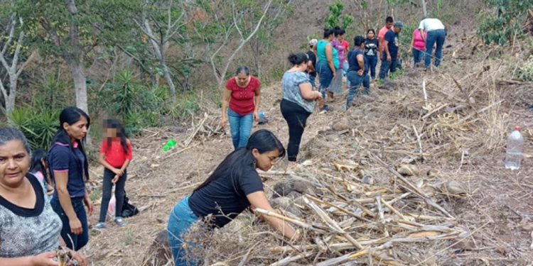MAGA impulsa la gestión sostenible de recursos naturales en áreas rurales