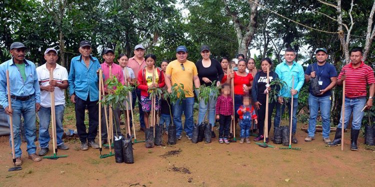 MAGA beneficia a 316 agricultores con semillas y herramientas