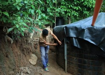 Ante las previsiones de condiciones adversas derivadas de la canícula, es fundamental que tanto agricultores como ganaderos implementen medidas preventivas. / Foto: MAGA.