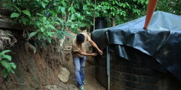 Ante las previsiones de condiciones adversas derivadas de la canícula, es fundamental que tanto agricultores como ganaderos implementen medidas preventivas. / Foto: MAGA.