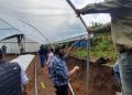 Instalan invernaderos para aumentar producción de flores en Sibinal, San Marcos. / Foto: MAGA.