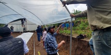 Instalan invernaderos para aumentar producción de flores en Sibinal, San Marcos. / Foto: MAGA.